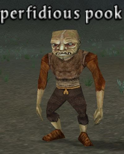 pooik|pook definition.